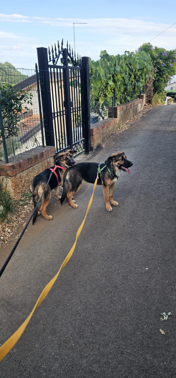 Sofi und Olivia