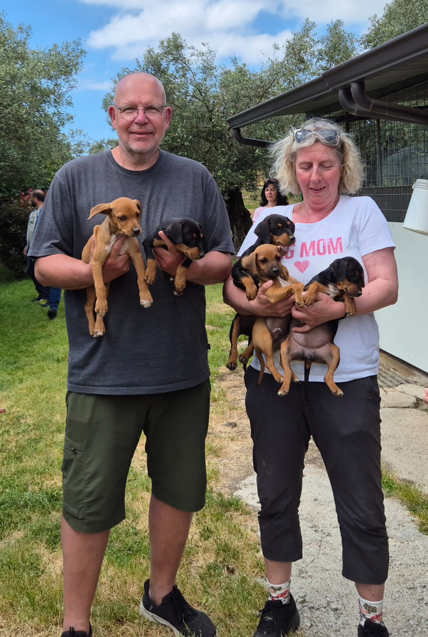 Fünf kl.Seelchen suchen ihr Glück